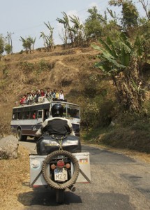 bus bus