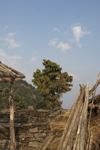 joghindanda joghindanda