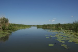 donauabzweig