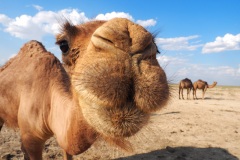 Karakalpakstan 2016