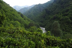 Çağlayan-Tal