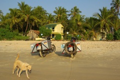 Indien 2008 - Konkan