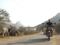 Indien_MZ