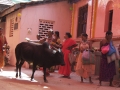 Tempel Gokarna Kuh