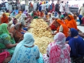 Golden Temple Helfer