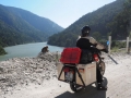 Kalimpong-Affe