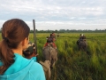 Kaziranga Elefantenritt