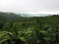 Manipur
