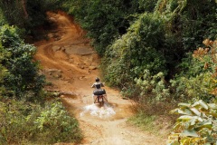 Laos 2017 - Ho-Chi-Minh-Pfad