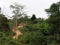 Ho-Chi-Minh-Trail