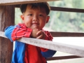 Spiderman in Laos