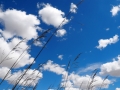 Mongolei Himmel