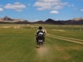 Mongolei Graspiste