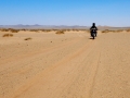 Gobi