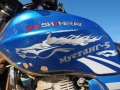 Mustang Shineray Tank