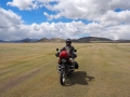 Mustang-Steppe