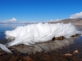 Terkhiin Tsagaan Nuur Eis