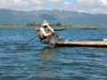Inle See Fischer