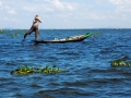 Inle See Fischer