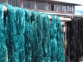 Inle See Lotusseide