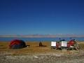MZ Karakul