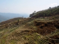 Manaslu-Trek Terrassenfelder