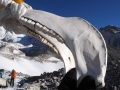 Larke-Pass Skelett