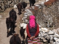 Manaslu-Trek Dorfstraße