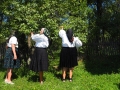 Maramureș-Pflaumen-naschen