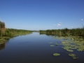 Donauabzweig