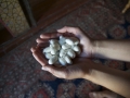 Cocoons