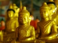 buddhas
