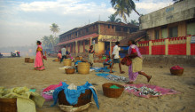 Fischmarkt in Malwan, Indien 2008 (c) emmenreiter.de