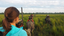 Kaziranga Nordostindien