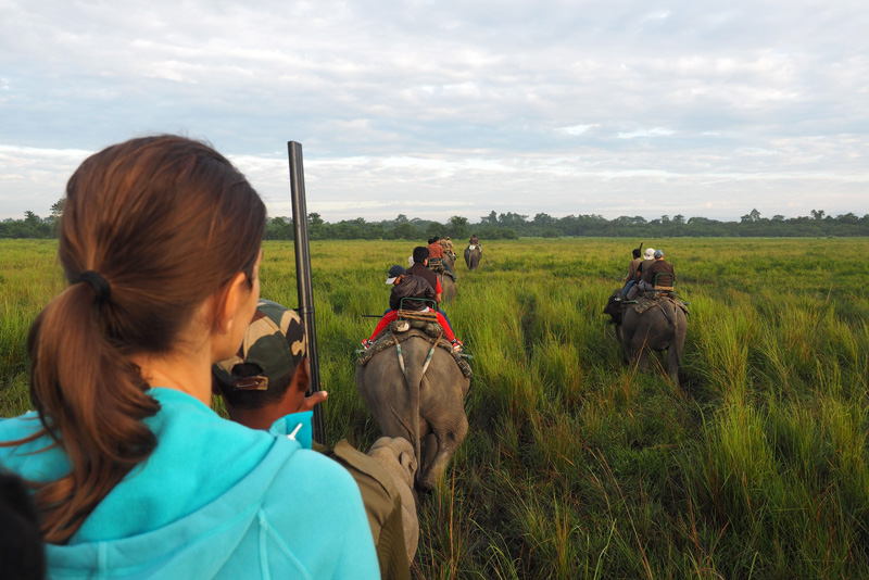 Nordostindien (Assam): Kaziranga Nationalpark
